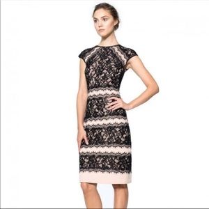 NWT Tadashi Shoji Neoprene Lace Cap Sleeve Dress